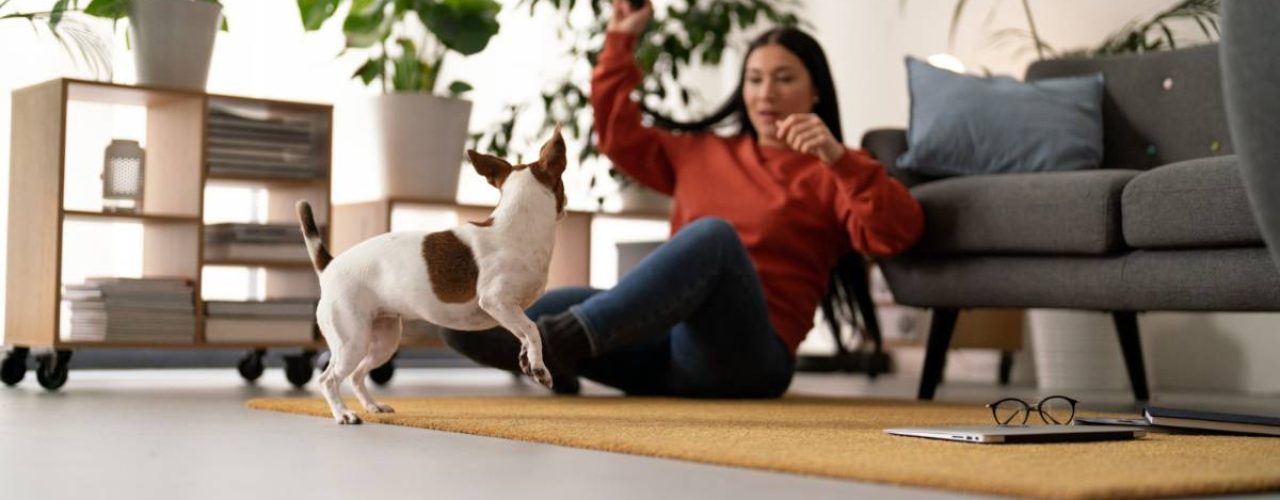 Hond met teveel energie