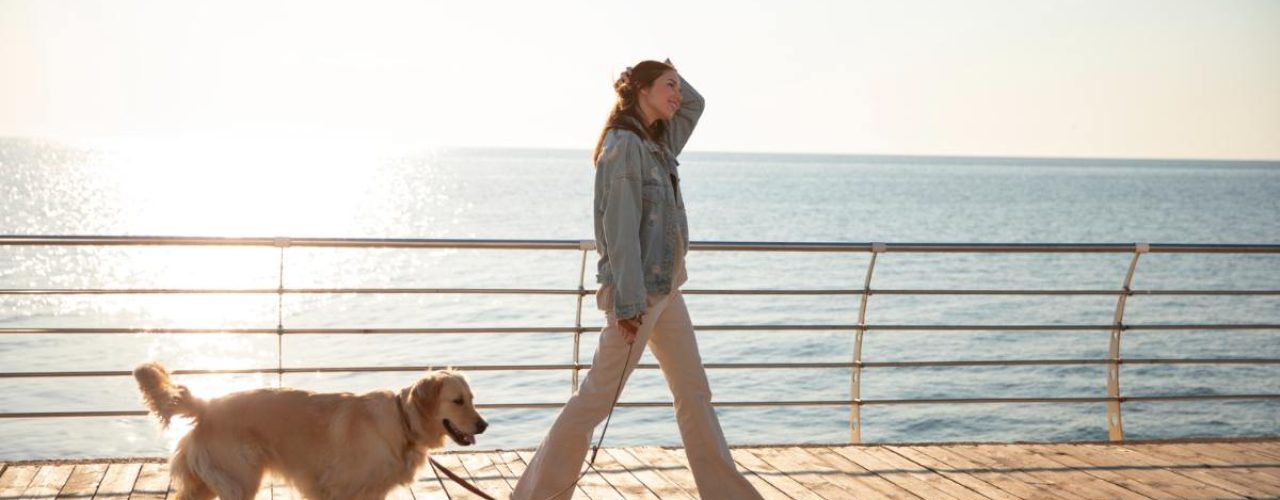 Wandelen hond warm weer