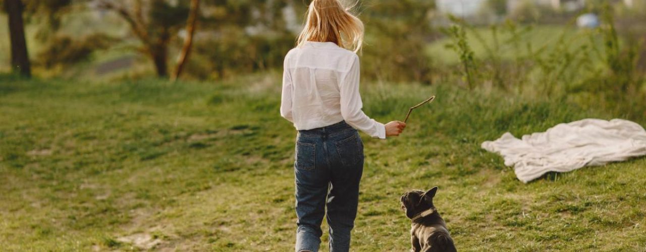 accessoires hond wandelen