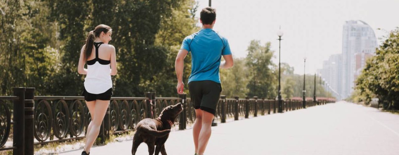 activiteiten met hond