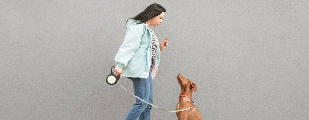 beste merken hondentuigjes