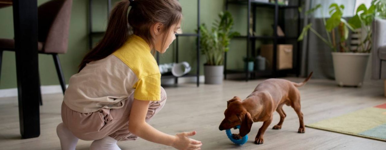 fouten trainen puppy