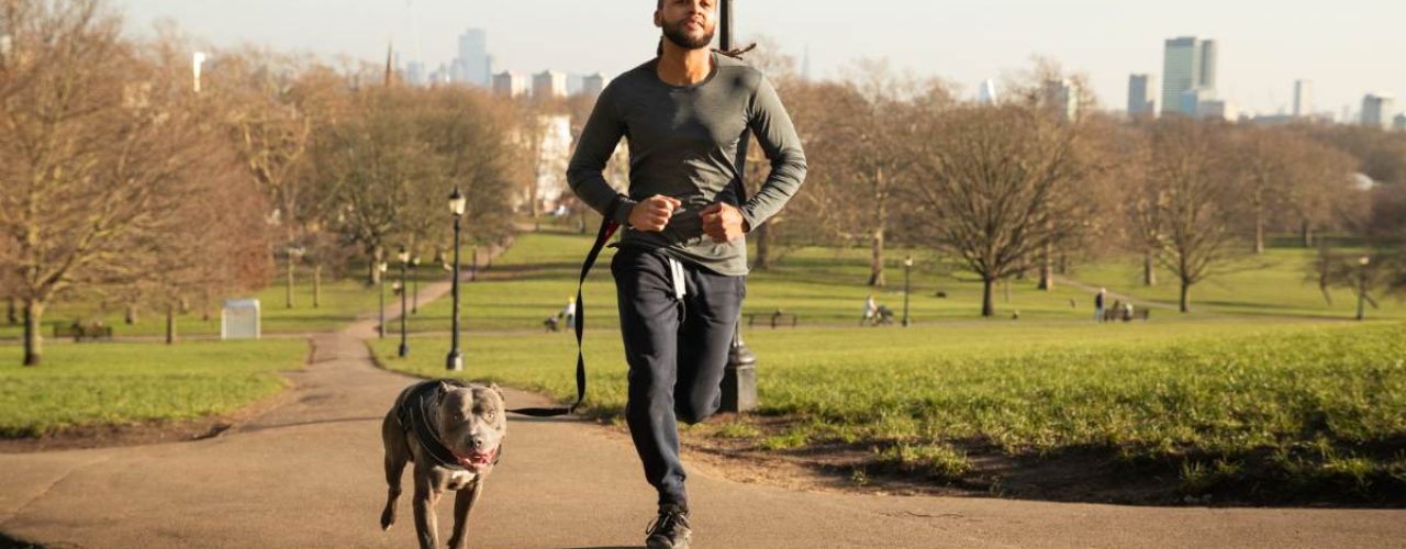 hond fysiek actief drukke levensstijl