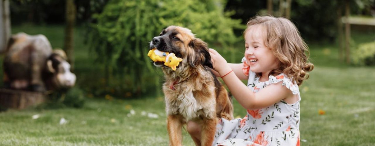 hondenrassen voor gezinnen