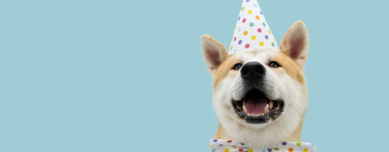 ideeen Hondenverjaardag