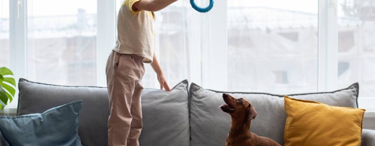 kinderen honden spelen