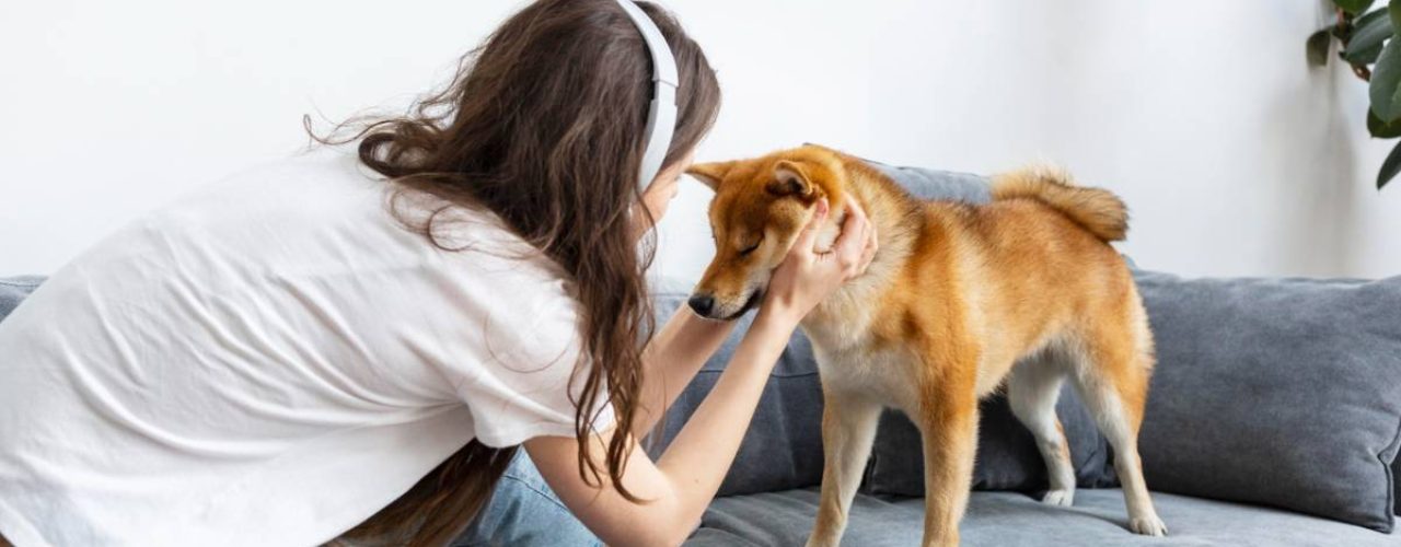 lichaamstaal hond begrijpen