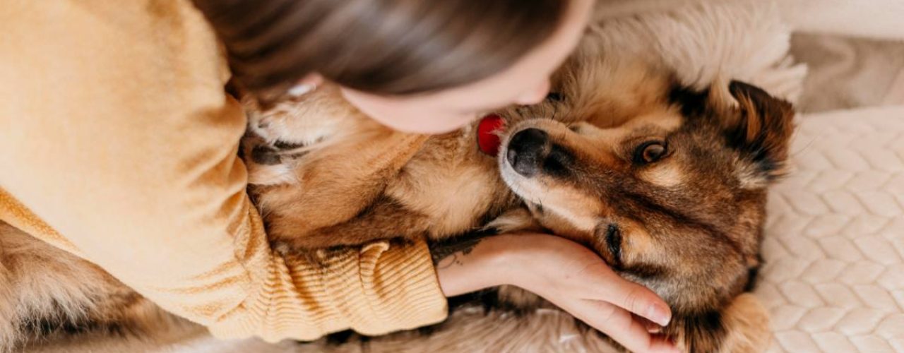 op letten knuffelen hond