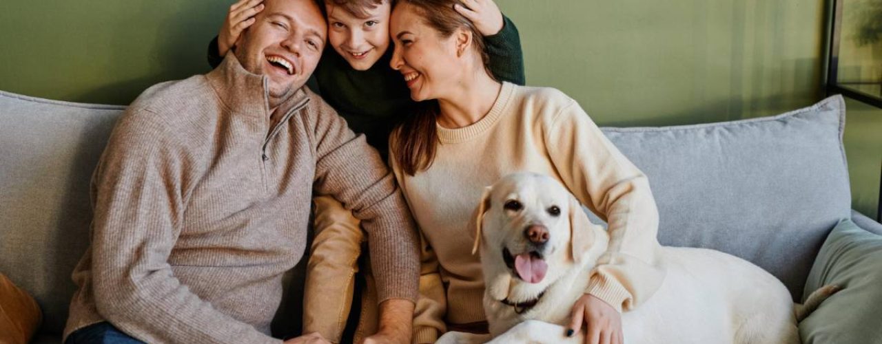 populaire hondenrassen gezinnen