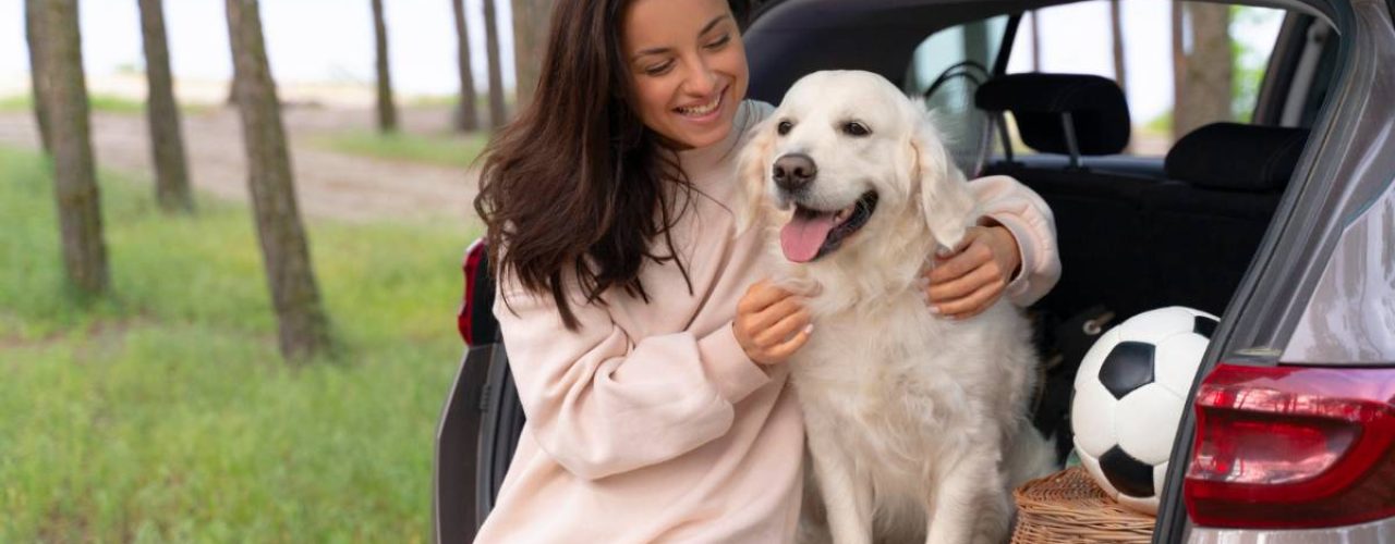 stressvrije Reizen hond