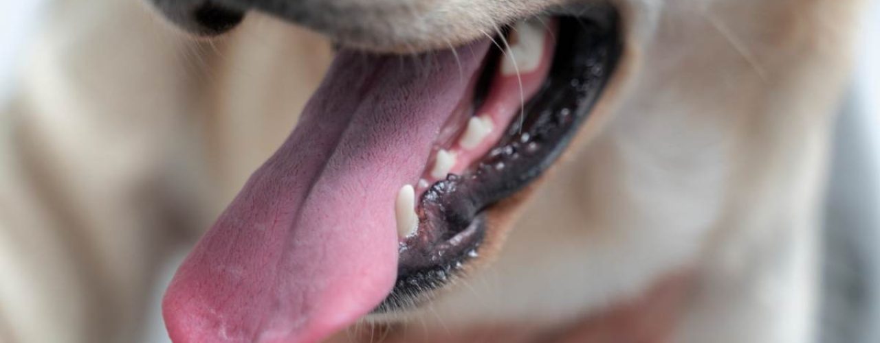 tekenen van tandproblemen