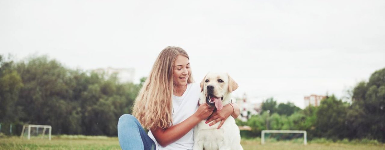 tips honden mentaal fit