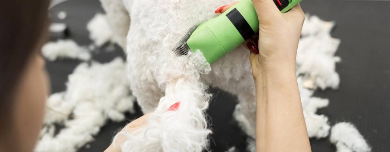 tips zelf hond trimmen